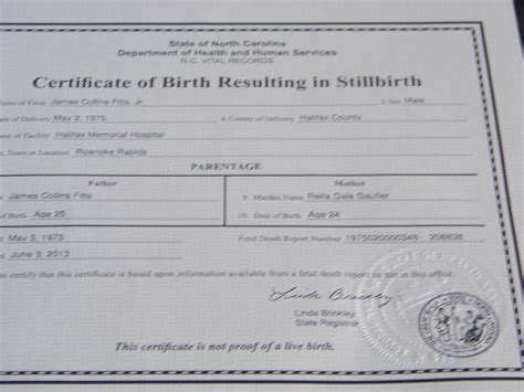 Printable Fake Stillborn Certificate